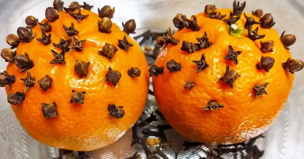 deux oranges piquÃ©es avec des clous de girofles